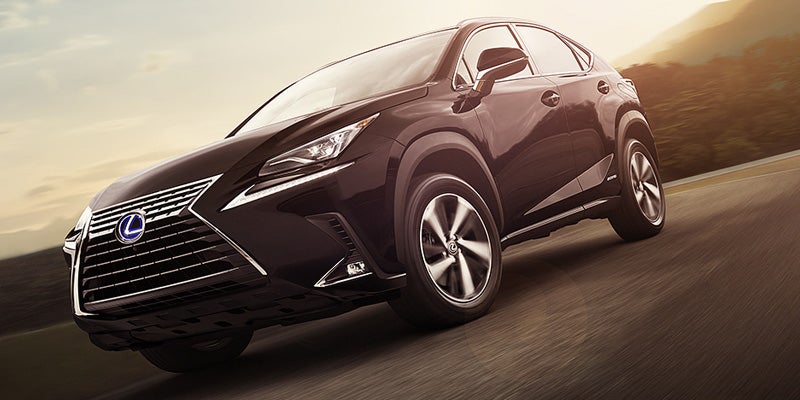 2019 Lexus NX Hybrid