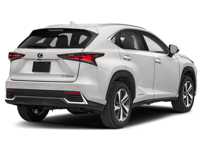 2019 Lexus NX 300h