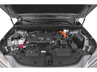 2023 Lexus NX 350h Premium