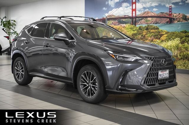 2024 Lexus NX 250