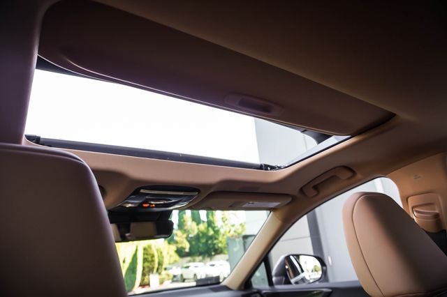 2024 Lexus NX 250