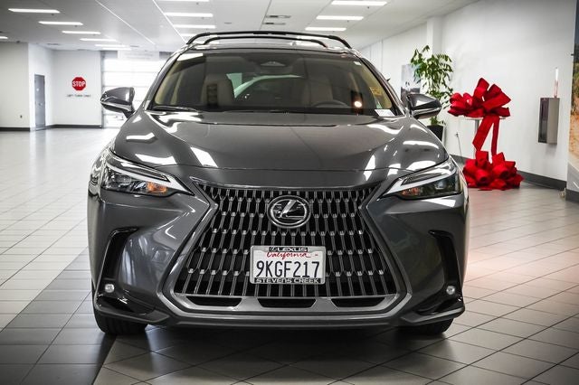 2024 Lexus NX 250