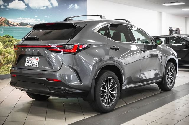 2024 Lexus NX 250