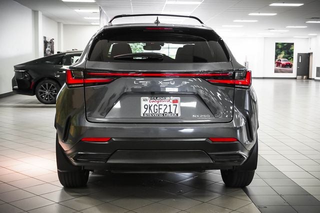 2024 Lexus NX 250