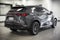 2024 Lexus NX 250