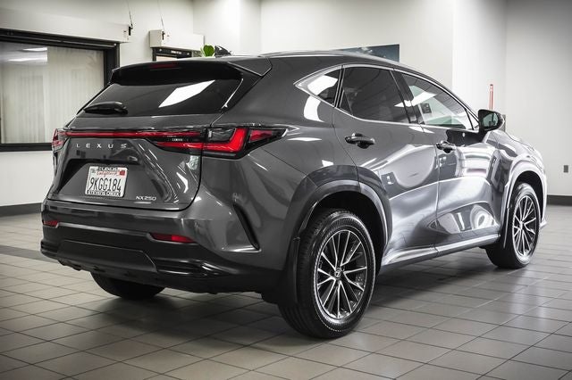 2024 Lexus NX 250