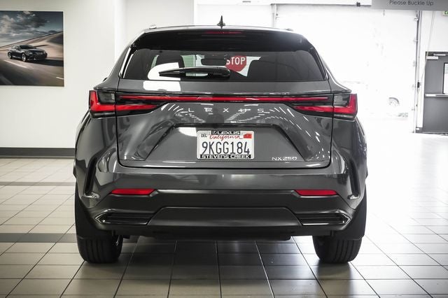2024 Lexus NX 250