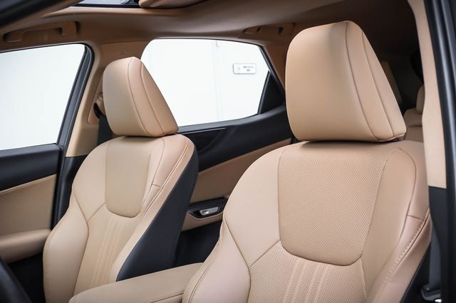 2025 Lexus NX 250