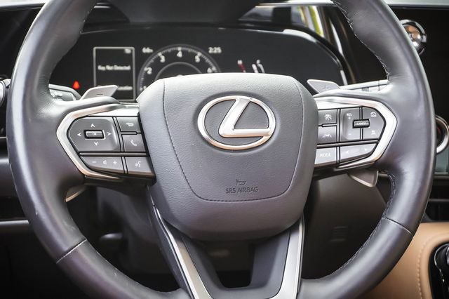 2025 Lexus NX 250