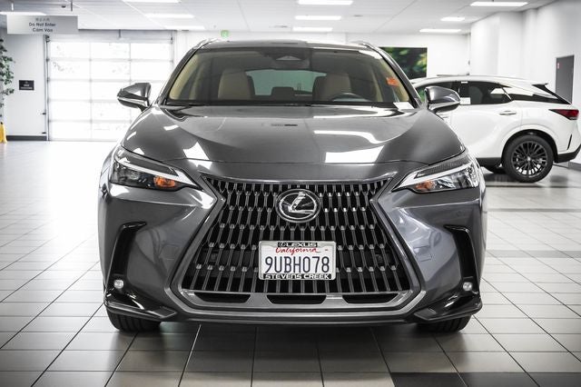 2025 Lexus NX 250