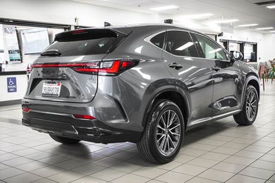 2025 Lexus NX 250