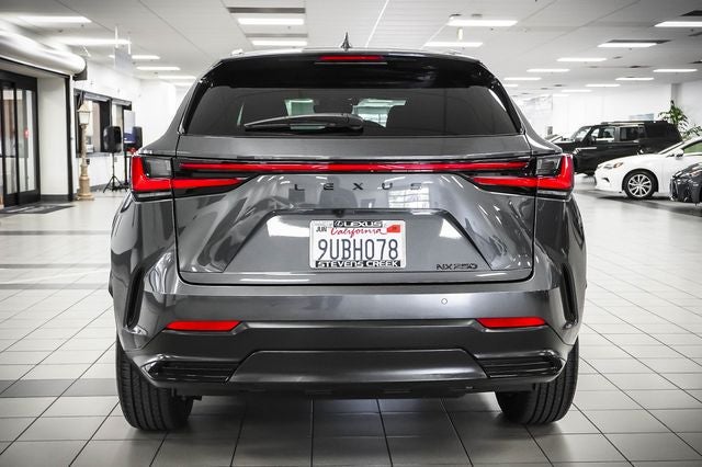 2025 Lexus NX 250