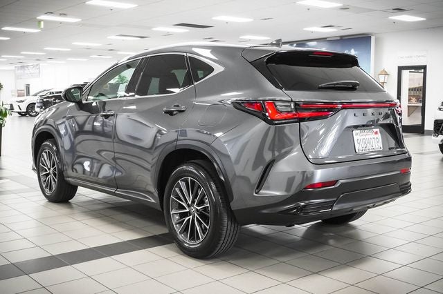 2025 Lexus NX 250