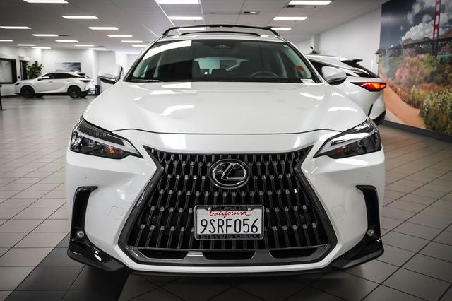 2025 Lexus NX 250
