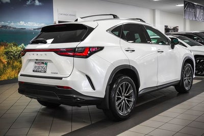 2025 Lexus NX 250