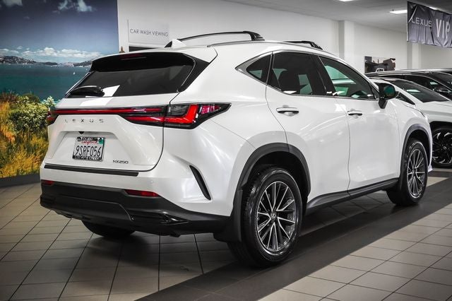 2025 Lexus NX 250