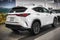 2025 Lexus NX 250