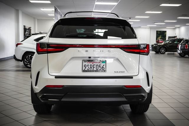 2025 Lexus NX 250