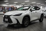 2024 Lexus NX 250