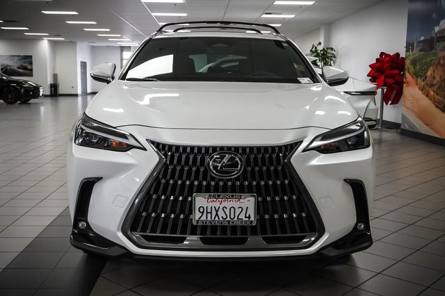 2024 Lexus NX 250