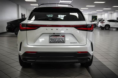 2024 Lexus NX 250