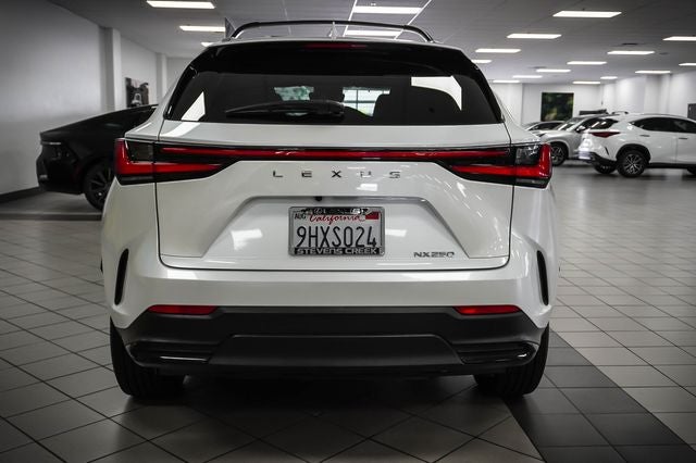 2024 Lexus NX 250