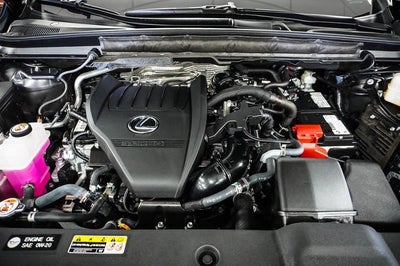 2025 Lexus RX 350 Premium Plus