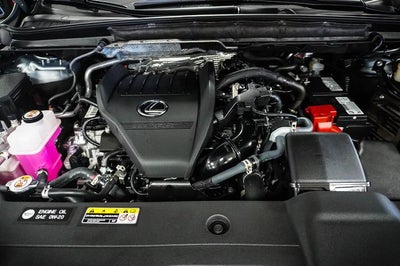 2025 Lexus RX 350 Premium Plus