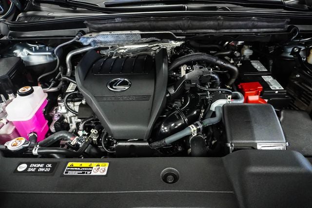2025 Lexus RX 350 Premium Plus