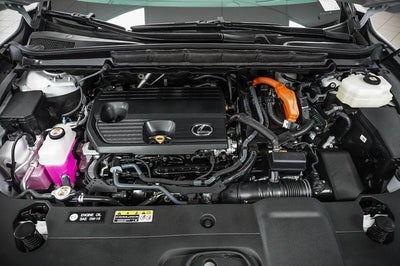 2025 Lexus RX 350h Premium Plus