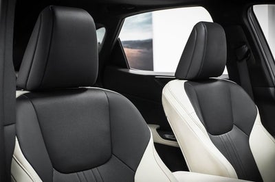 2023 Lexus NX 250 Premium