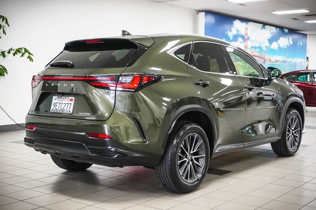2023 Lexus NX 250 Premium
