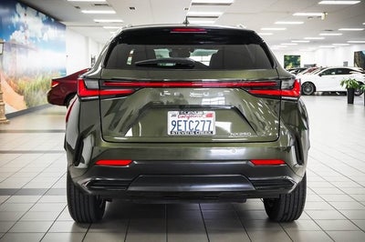 2023 Lexus NX 250 Premium
