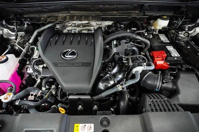2025 Lexus NX 350 Premium