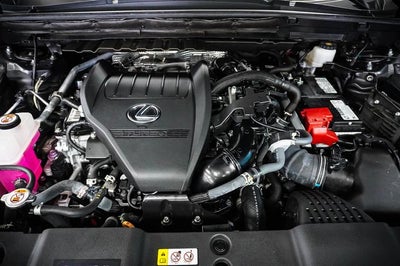 2024 Lexus NX 350 Premium