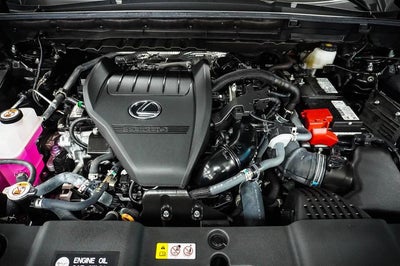 2024 Lexus NX 350 Premium