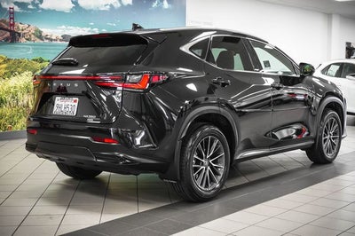 2024 Lexus NX 350 Premium