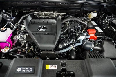 2025 Lexus NX350 350 Premium