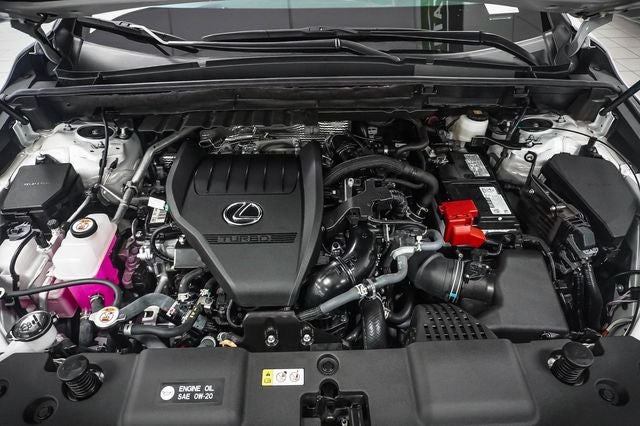 2025 Lexus NX 350 Premium
