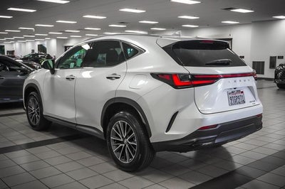 2025 Lexus NX 350 Premium