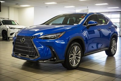 2024 Lexus NX 350 Luxury