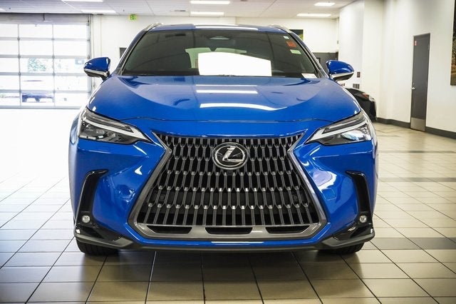 2024 Lexus NX 350 Luxury