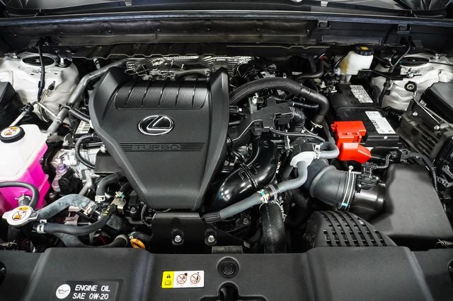 2024 Lexus NX 350 Luxury