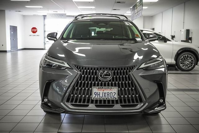 2024 Lexus NX 350 Luxury