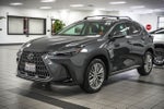 2024 Lexus NX 350 Luxury