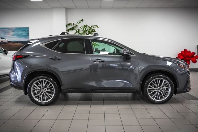 2024 Lexus NX 350 Luxury