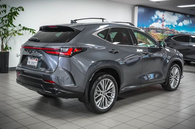 2024 Lexus NX 350 Luxury