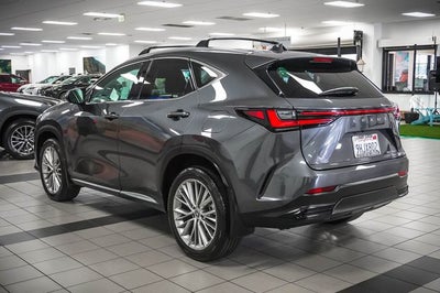 2024 Lexus NX 350 Luxury