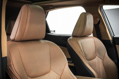 2023 Lexus NX 350h Luxury