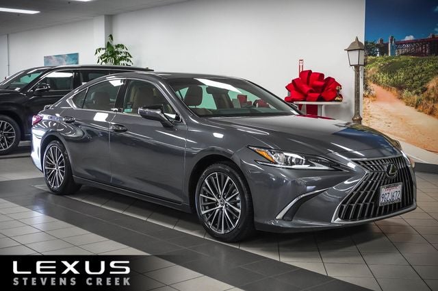 2023 Lexus ES 300h 300h's photo